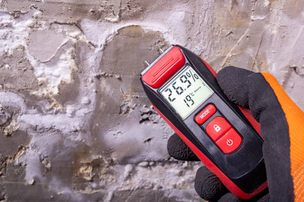 Best Residential Mold Removal  in Hidden Meadows, CA
